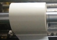 Single Sided PET Plastic Film / PET Packaging Film Multiple Extrusion Moisture Proof